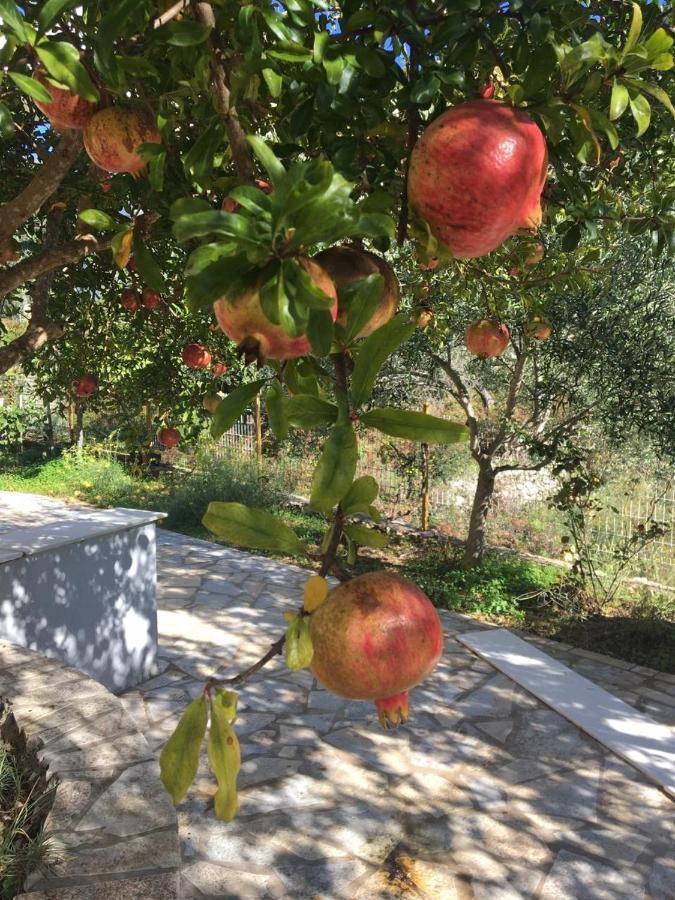 Guest House Solive Himare Room photo