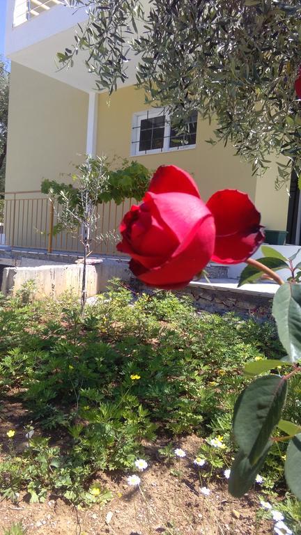 Guest House Solive Himare Exterior photo